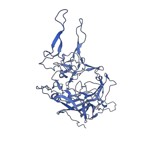 24003_7mua_j_v1-2
Structure of the adeno-associated virus 9 capsid at pH pH 5.5 in complex with terminal galactose
