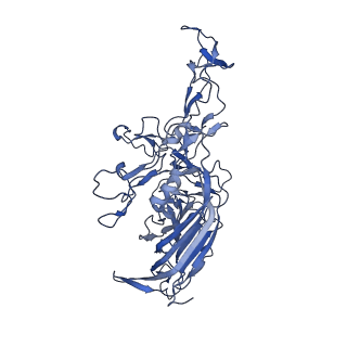 24003_7mua_l_v1-2
Structure of the adeno-associated virus 9 capsid at pH pH 5.5 in complex with terminal galactose