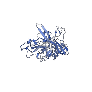 24003_7mua_m_v1-2
Structure of the adeno-associated virus 9 capsid at pH pH 5.5 in complex with terminal galactose