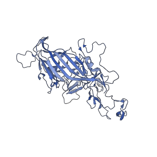 24003_7mua_n_v1-2
Structure of the adeno-associated virus 9 capsid at pH pH 5.5 in complex with terminal galactose