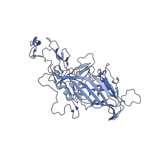 24003_7mua_q_v1-2
Structure of the adeno-associated virus 9 capsid at pH pH 5.5 in complex with terminal galactose