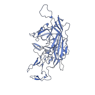 24003_7mua_s_v1-2
Structure of the adeno-associated virus 9 capsid at pH pH 5.5 in complex with terminal galactose