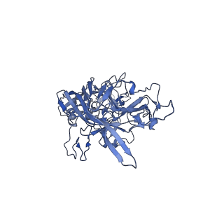 24003_7mua_t_v1-2
Structure of the adeno-associated virus 9 capsid at pH pH 5.5 in complex with terminal galactose