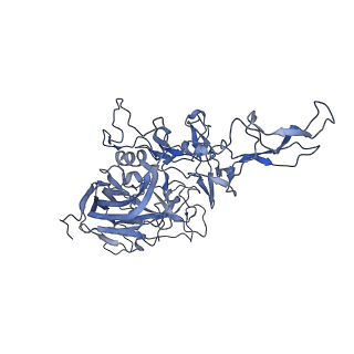 24003_7mua_z_v1-2
Structure of the adeno-associated virus 9 capsid at pH pH 5.5 in complex with terminal galactose