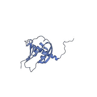 24020_7mus_FD_v1-1
Reconstruction of the Legionella pneumophila Dot/Icm T4SS 3DVA Map 2