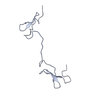 24020_7mus_JN_v1-1
Reconstruction of the Legionella pneumophila Dot/Icm T4SS 3DVA Map 2