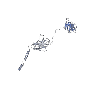 24023_7muv_MH_v1-1
Reconstruction of the Legionella pneumophila Dot/Icm T4SS 3DVA Map 3