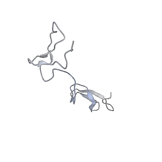 24026_7muy_JN_v1-1
Reconstruction of the Legionella pneumophila Dot/Icm T4SS 3DVA Map 5