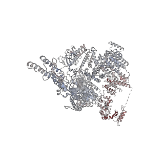9243_6mu1_A_v1-2
Structure of full-length IP3R1 channel bound with Adenophostin A