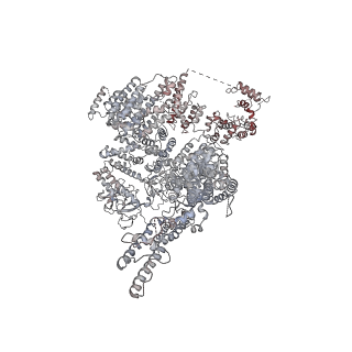 9243_6mu1_B_v1-2
Structure of full-length IP3R1 channel bound with Adenophostin A