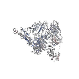 9244_6mu2_A_v1-2
Structure of full-length IP3R1 channel in the Apo-state