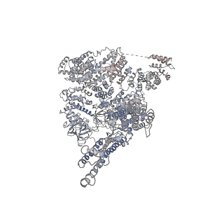 9244_6mu2_B_v1-2
Structure of full-length IP3R1 channel in the Apo-state