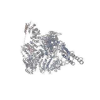 9244_6mu2_C_v1-2
Structure of full-length IP3R1 channel in the Apo-state