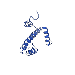 9250_6muo_A_v1-3
CENP-A nucleosome bound by two copies of CENP-C(CD) and one copy CENP-N(NT)