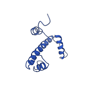 9250_6muo_A_v2-2
CENP-A nucleosome bound by two copies of CENP-C(CD) and one copy CENP-N(NT)