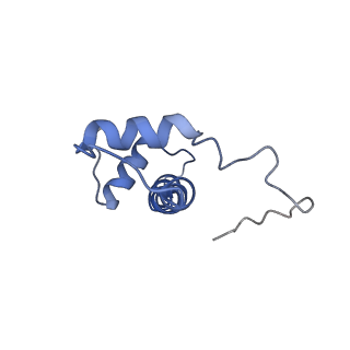 9250_6muo_B_v1-3
CENP-A nucleosome bound by two copies of CENP-C(CD) and one copy CENP-N(NT)