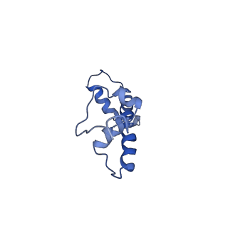9250_6muo_C_v1-3
CENP-A nucleosome bound by two copies of CENP-C(CD) and one copy CENP-N(NT)