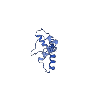 9250_6muo_C_v2-2
CENP-A nucleosome bound by two copies of CENP-C(CD) and one copy CENP-N(NT)