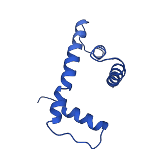 9250_6muo_D_v1-3
CENP-A nucleosome bound by two copies of CENP-C(CD) and one copy CENP-N(NT)