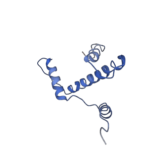 9250_6muo_E_v1-3
CENP-A nucleosome bound by two copies of CENP-C(CD) and one copy CENP-N(NT)