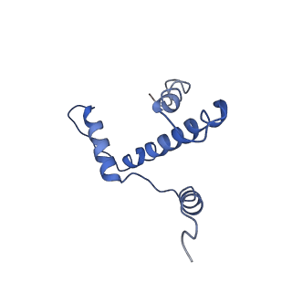 9250_6muo_E_v2-2
CENP-A nucleosome bound by two copies of CENP-C(CD) and one copy CENP-N(NT)