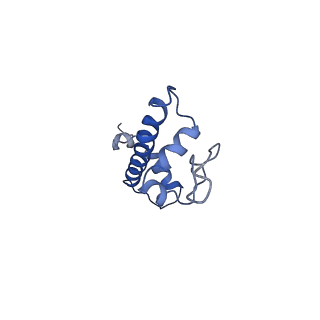 9250_6muo_G_v1-3
CENP-A nucleosome bound by two copies of CENP-C(CD) and one copy CENP-N(NT)
