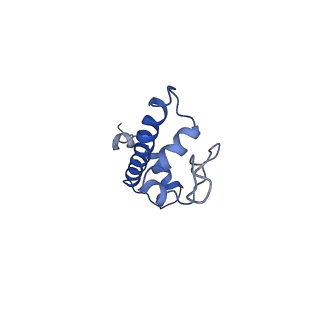 9250_6muo_G_v2-2
CENP-A nucleosome bound by two copies of CENP-C(CD) and one copy CENP-N(NT)
