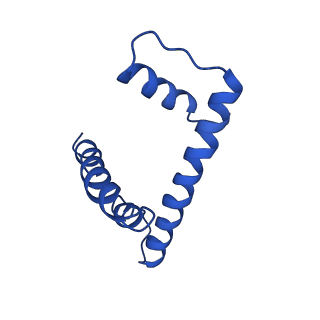9250_6muo_H_v2-1
CENP-A nucleosome bound by two copies of CENP-C(CD) and one copy CENP-N(NT)