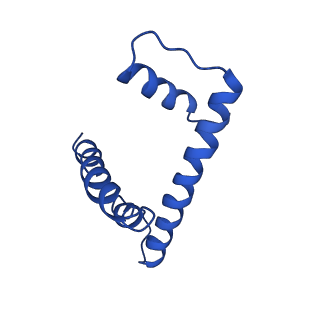 9250_6muo_H_v2-2
CENP-A nucleosome bound by two copies of CENP-C(CD) and one copy CENP-N(NT)
