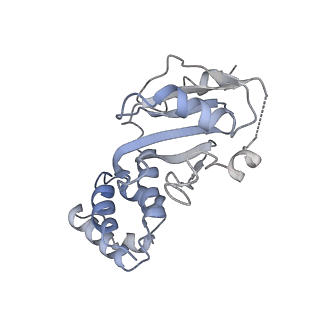 9250_6muo_M_v2-2
CENP-A nucleosome bound by two copies of CENP-C(CD) and one copy CENP-N(NT)