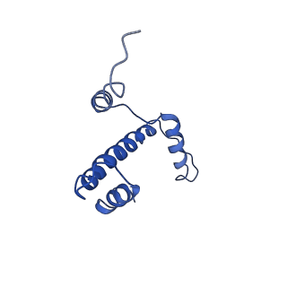 9251_6mup_A_v1-4
CENP-A nucleosome bound by two copies of CENP-C(CD) and two copies CENP-N(NT)