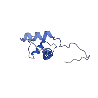 9251_6mup_B_v1-4
CENP-A nucleosome bound by two copies of CENP-C(CD) and two copies CENP-N(NT)