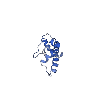 9251_6mup_C_v1-4
CENP-A nucleosome bound by two copies of CENP-C(CD) and two copies CENP-N(NT)