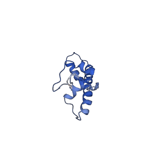 9251_6mup_C_v1-5
CENP-A nucleosome bound by two copies of CENP-C(CD) and two copies CENP-N(NT)