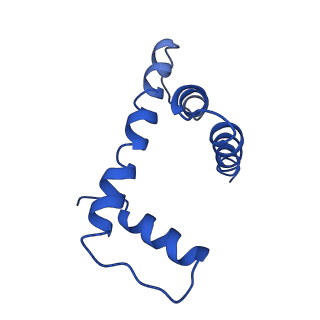 9251_6mup_D_v1-4
CENP-A nucleosome bound by two copies of CENP-C(CD) and two copies CENP-N(NT)