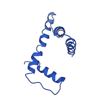 9251_6mup_D_v1-5
CENP-A nucleosome bound by two copies of CENP-C(CD) and two copies CENP-N(NT)