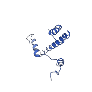 9251_6mup_E_v1-4
CENP-A nucleosome bound by two copies of CENP-C(CD) and two copies CENP-N(NT)