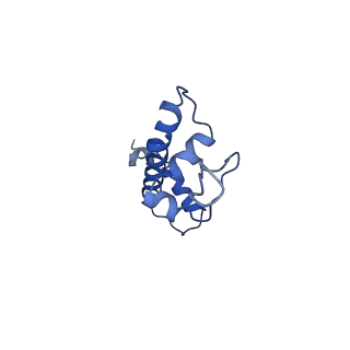 9251_6mup_G_v1-4
CENP-A nucleosome bound by two copies of CENP-C(CD) and two copies CENP-N(NT)