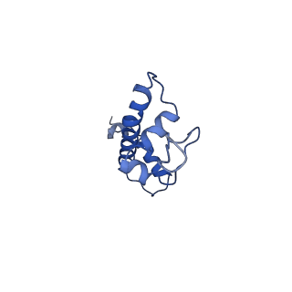 9251_6mup_G_v1-5
CENP-A nucleosome bound by two copies of CENP-C(CD) and two copies CENP-N(NT)