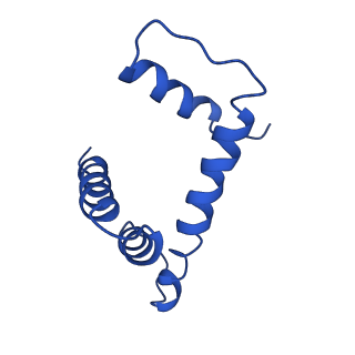 9251_6mup_H_v1-5
CENP-A nucleosome bound by two copies of CENP-C(CD) and two copies CENP-N(NT)