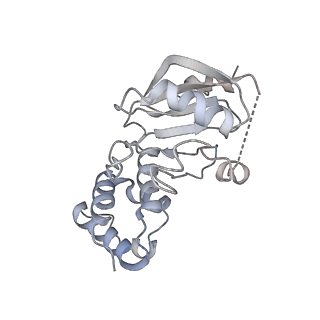 9251_6mup_M_v1-5
CENP-A nucleosome bound by two copies of CENP-C(CD) and two copies CENP-N(NT)