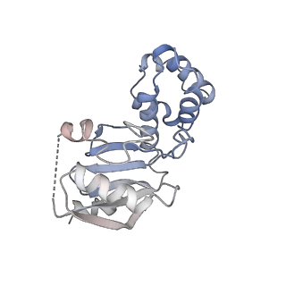 9251_6mup_N_v1-5
CENP-A nucleosome bound by two copies of CENP-C(CD) and two copies CENP-N(NT)