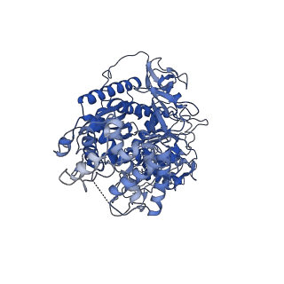 9253_6mur_A_v1-3
Cryo-EM structure of Csm-crRNA-target RNA ternary complex in type III-A CRISPR-Cas system