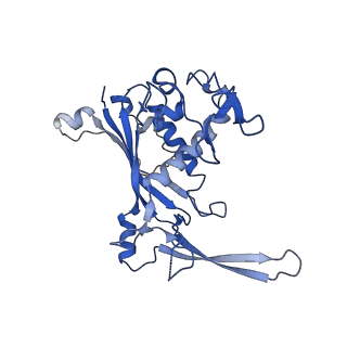 9253_6mur_C_v1-2
Cryo-EM structure of Csm-crRNA-target RNA ternary complex in type III-A CRISPR-Cas system