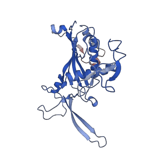 9253_6mur_D_v1-2
Cryo-EM structure of Csm-crRNA-target RNA ternary complex in type III-A CRISPR-Cas system