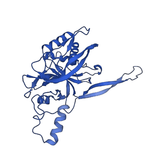 9253_6mur_E_v1-2
Cryo-EM structure of Csm-crRNA-target RNA ternary complex in type III-A CRISPR-Cas system