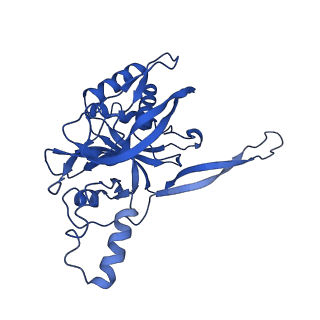 9253_6mur_E_v1-3
Cryo-EM structure of Csm-crRNA-target RNA ternary complex in type III-A CRISPR-Cas system