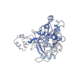 9253_6mur_F_v1-2
Cryo-EM structure of Csm-crRNA-target RNA ternary complex in type III-A CRISPR-Cas system