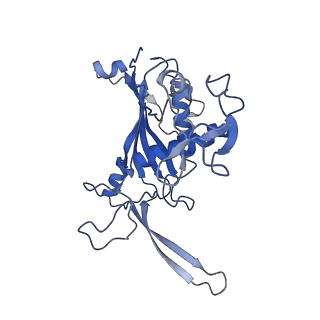 9254_6mus_D_v1-2
Cryo-EM structure of larger Csm-crRNA-target RNA ternary complex in type III-A CRISPR-Cas system