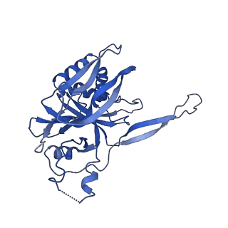 9254_6mus_E_v1-2
Cryo-EM structure of larger Csm-crRNA-target RNA ternary complex in type III-A CRISPR-Cas system